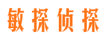 定州市侦探调查公司